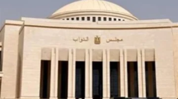 تسهيل فوري.. الهيئة الوطنية تتيح الاستعلام عن موقع الانتخابات بالرقم القومي عبر التطبيق والموقع الرسمي